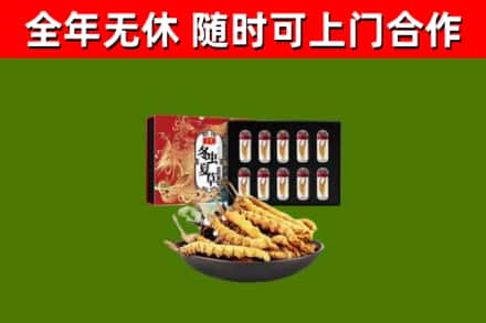 潼关县回收冬虫夏草价格